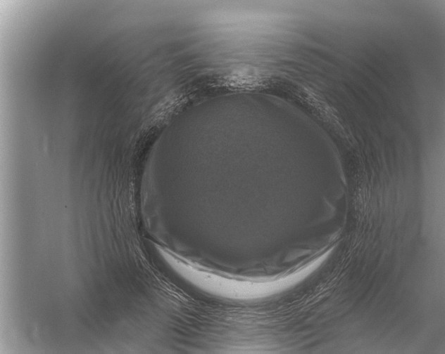 X0000058140689200510072032