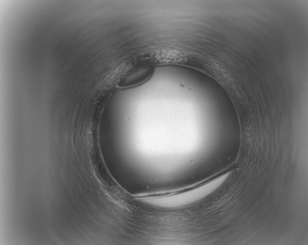 X0000058140690200510072032