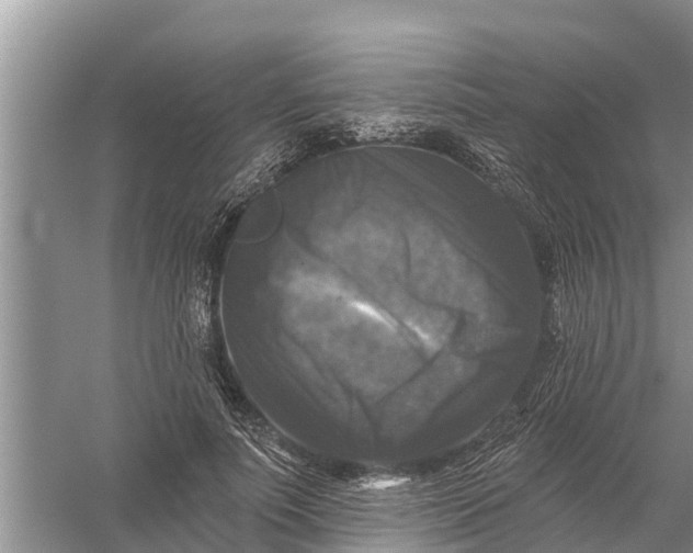 X0000058140691200510072032