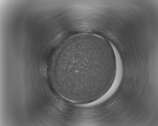 X0000058140693200510072032