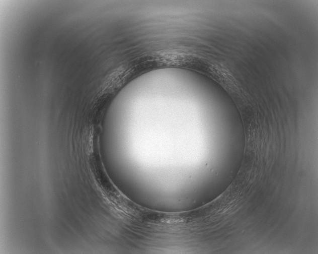 X0000058140694200510072032