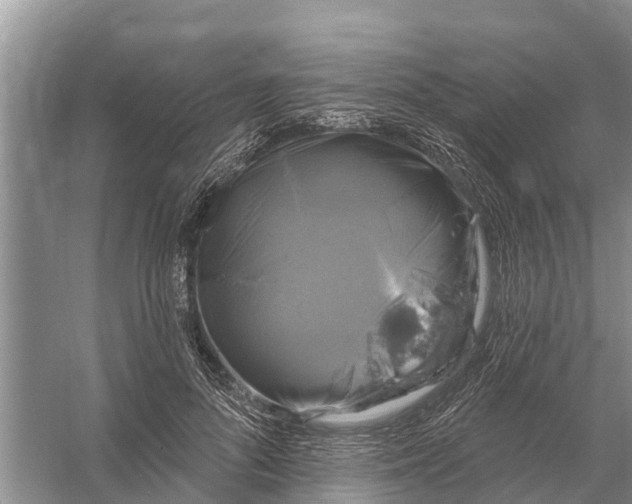 X0000058140696200510072032