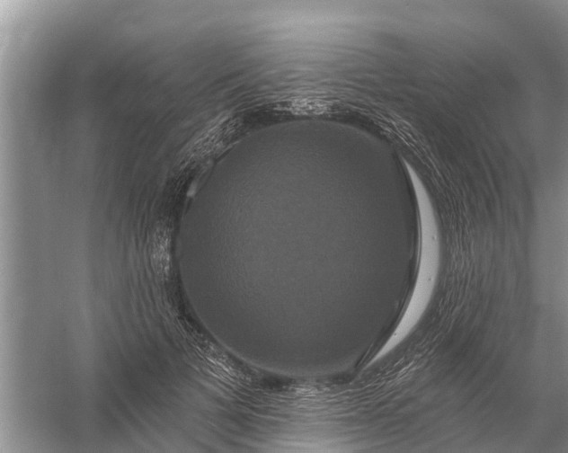 X0000058140697200510072032