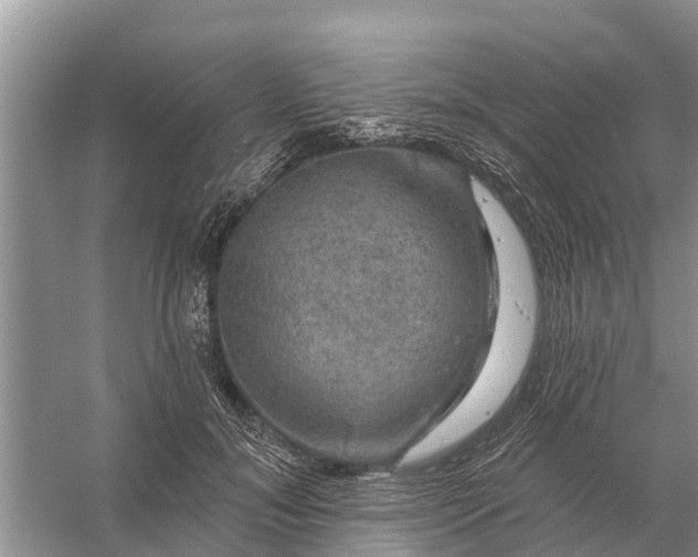 X0000058140700200510072031