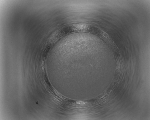 X0000058140701200510072031