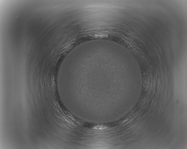 X0000058140704200510072031