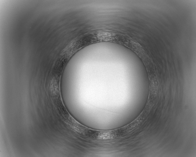 X0000058140705200510072031