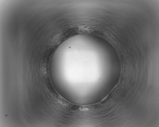 X0000058140706200510072031