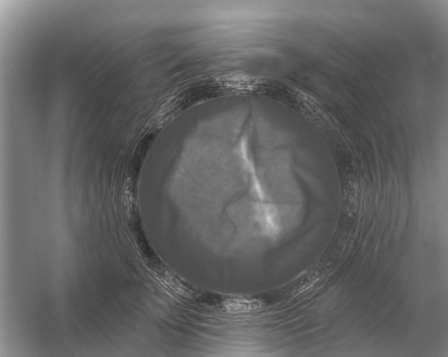 X0000058140707200510072031