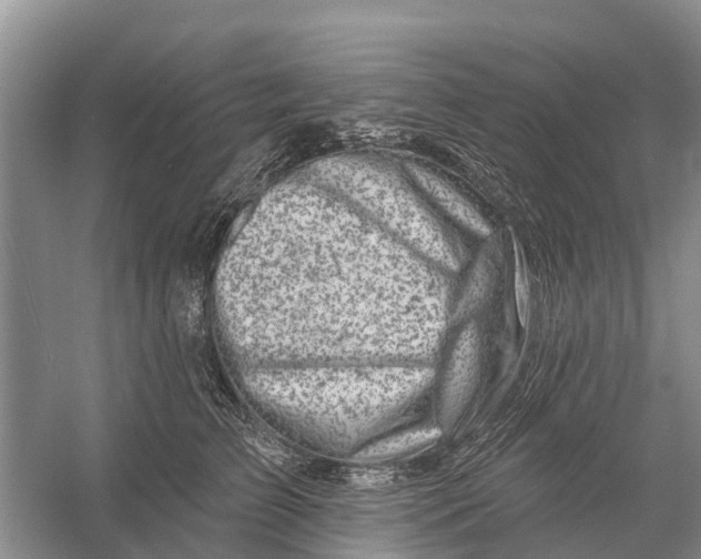 X0000058140709200510072031