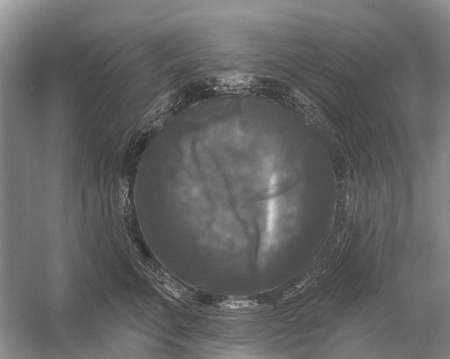 X0000058140711200510072031