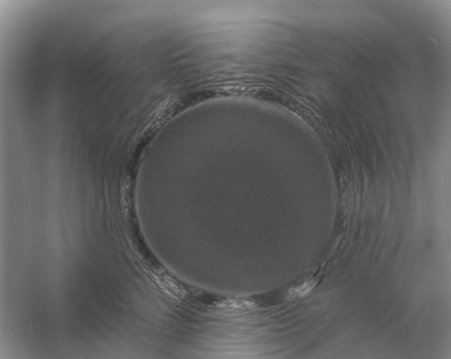 X0000058140712200510072031