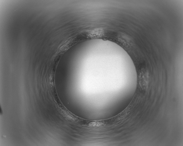 X0000058140714200510072031