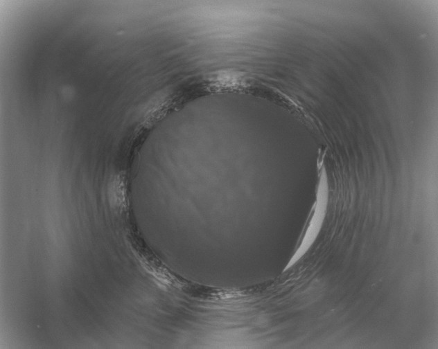 X0000058140715200510072031