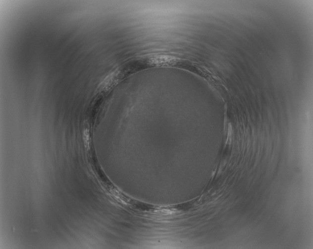 X0000058140716200510072031