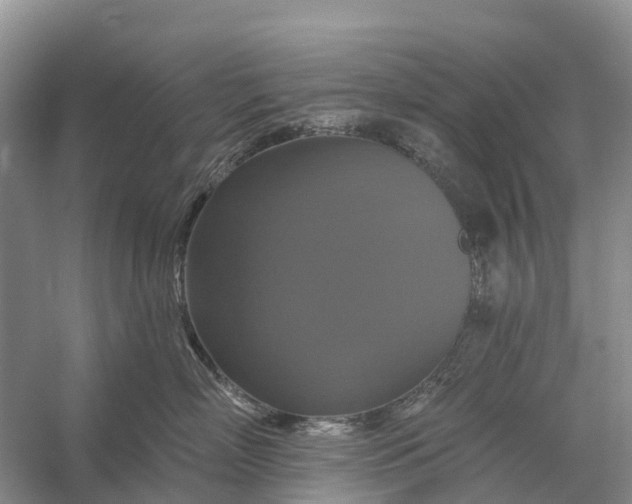 X0000058140718200510072031