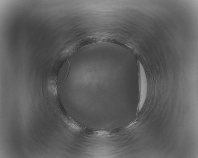 X0000058140719200510072031