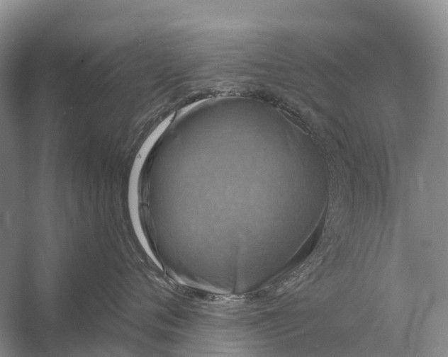 X0000058140720200510072031