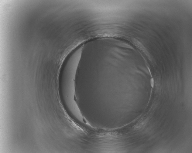 X0000058140721200510072030