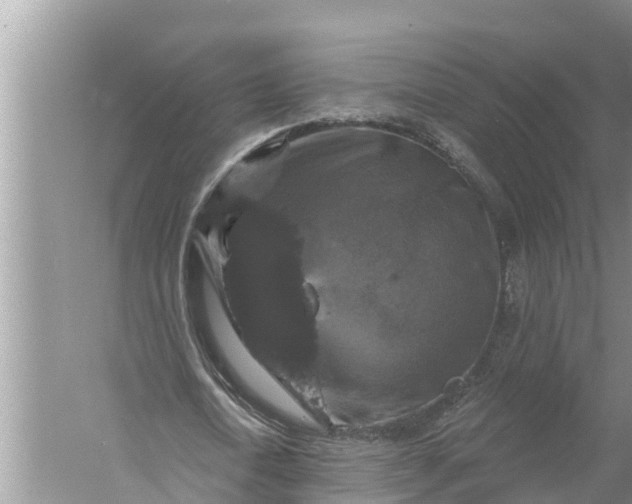 X0000058140722200510072030