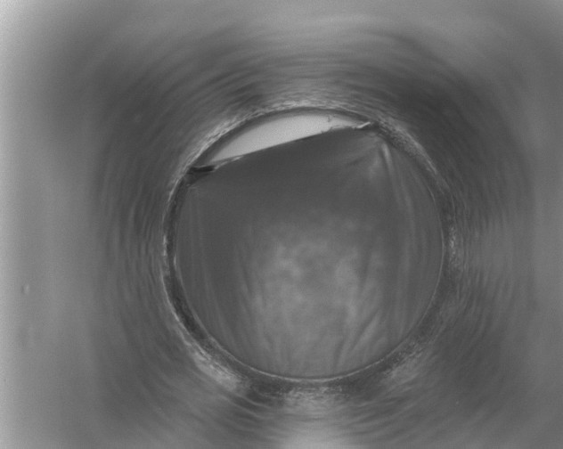 X0000058140725200510072030