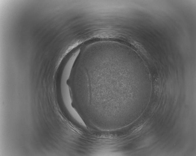 X0000058140727200510072030