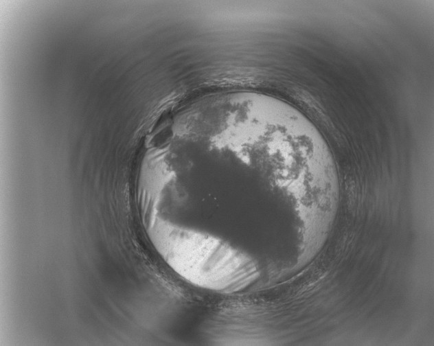 X0000058140729200510072030