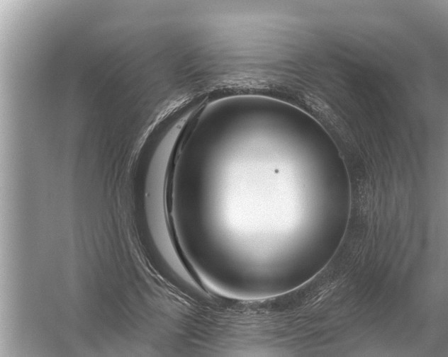 X0000058140731200510072031