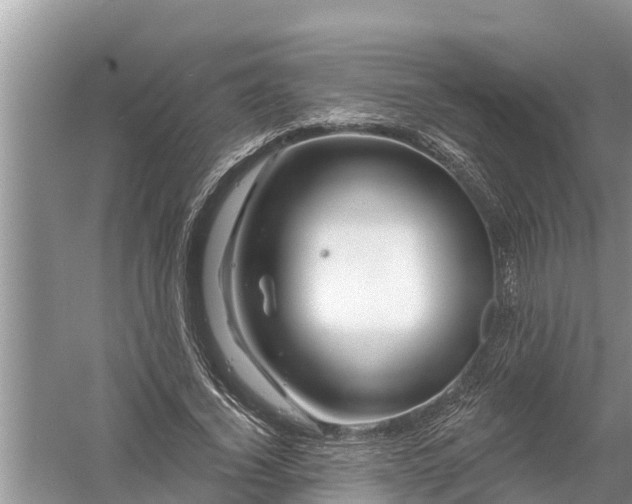 X0000058140732200510072031