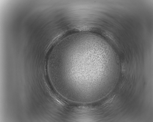 X0000058140733200510072031