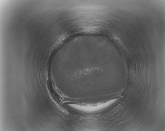 X0000058140734200510072031