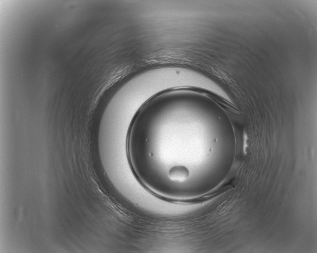 X0000058140735200510072031