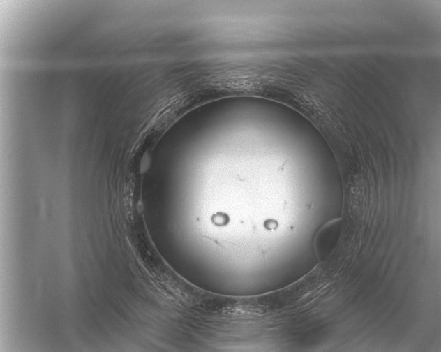 X0000058140739200510072031