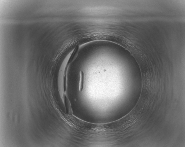 X0000058140742200510072031