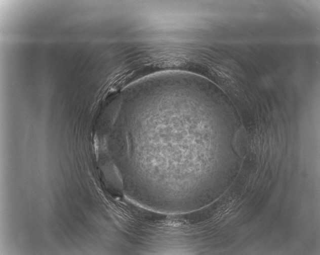 X0000058140743200510072031