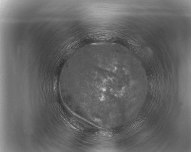 X0000058140745200510072031