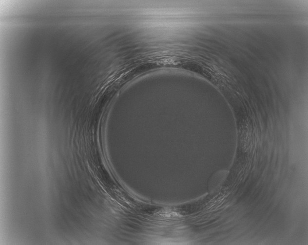 X0000058140747200510072031