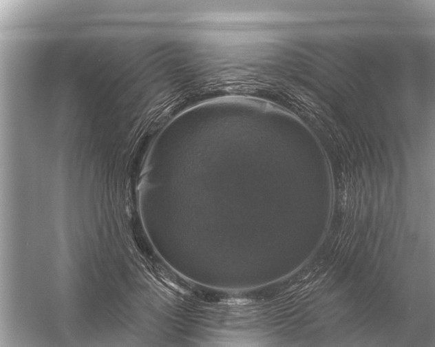 X0000058140748200510072031