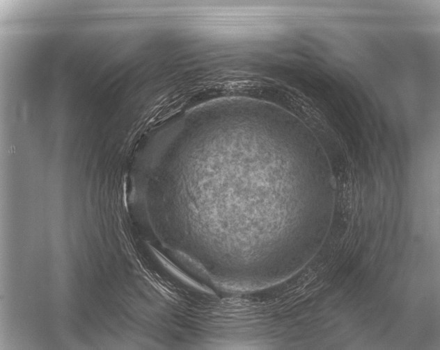 X0000058140750200510072031