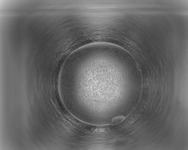 X0000058140751200510072031