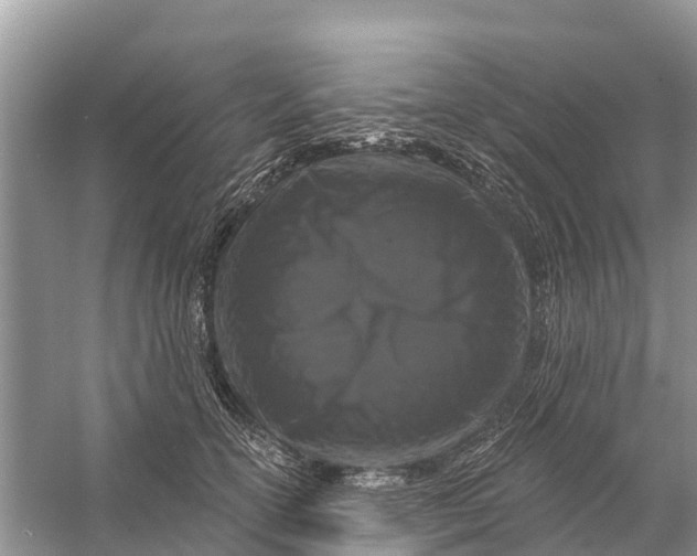 X0000058140754200510072031