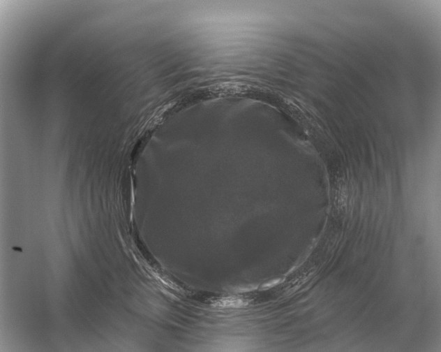 X0000058140759200510072031