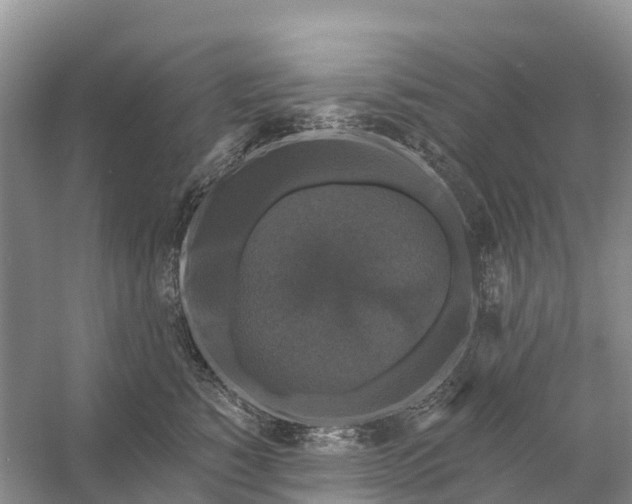 X0000058140760200510072031