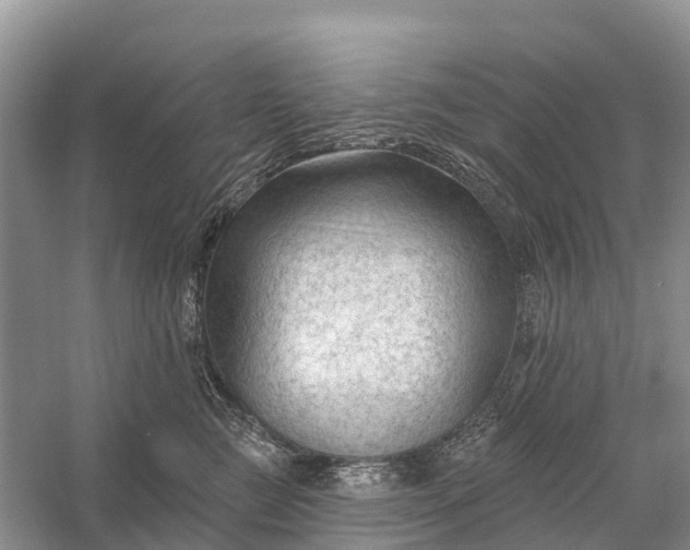 X0000058140761200510072031