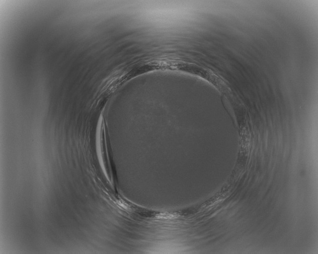 X0000058140762200510072031