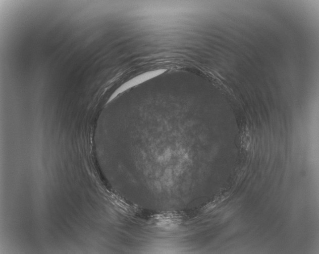 X0000058140763200510072031