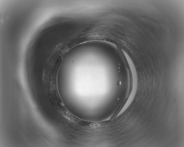 X0000058140764200510072031