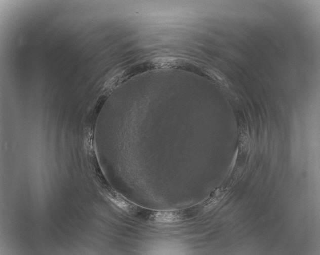 X0000058140766200510072031