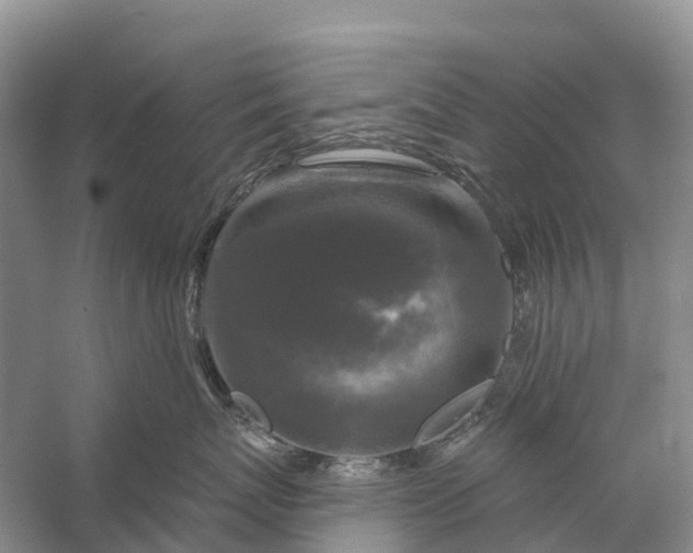 X0000058140767200510072031