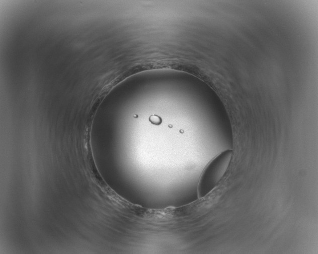 X0000058140768200510072031